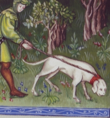 Phebus, vert.jpg2